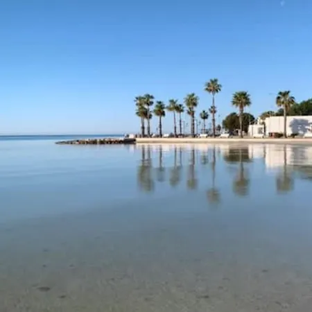 Viva Vista Mare Trilo Primo Piano *